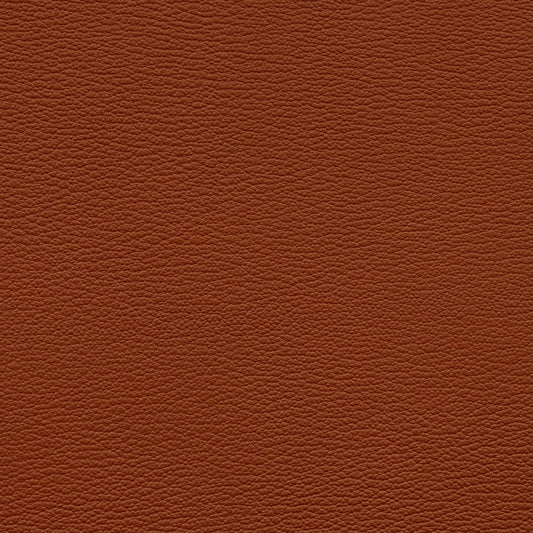 Leather Card Holder Orange - MORELET®