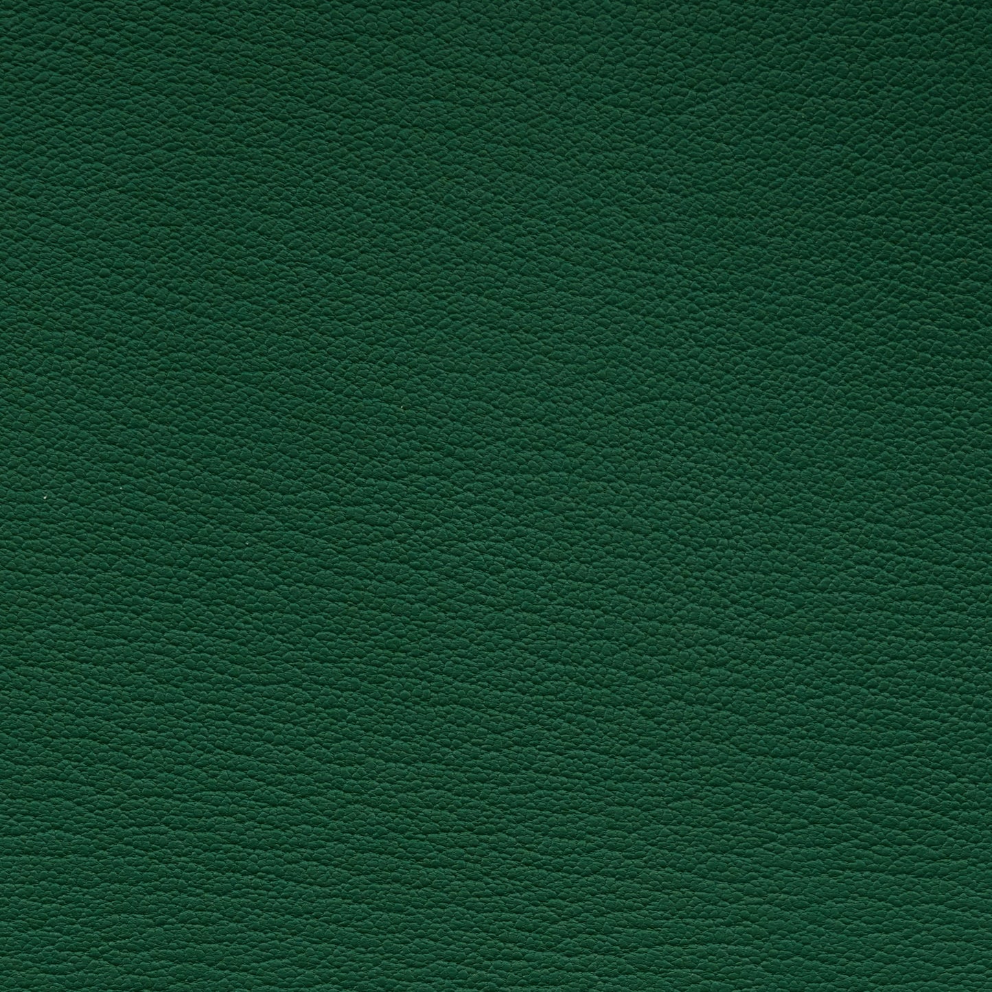 Leather Card Holder Vert - MORELET®