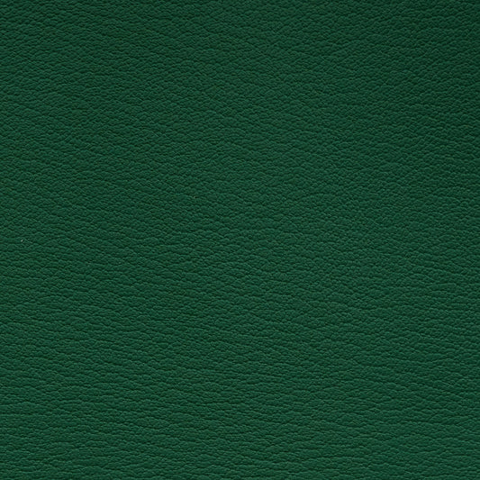 Leather Card Holder Vert - MORELET®