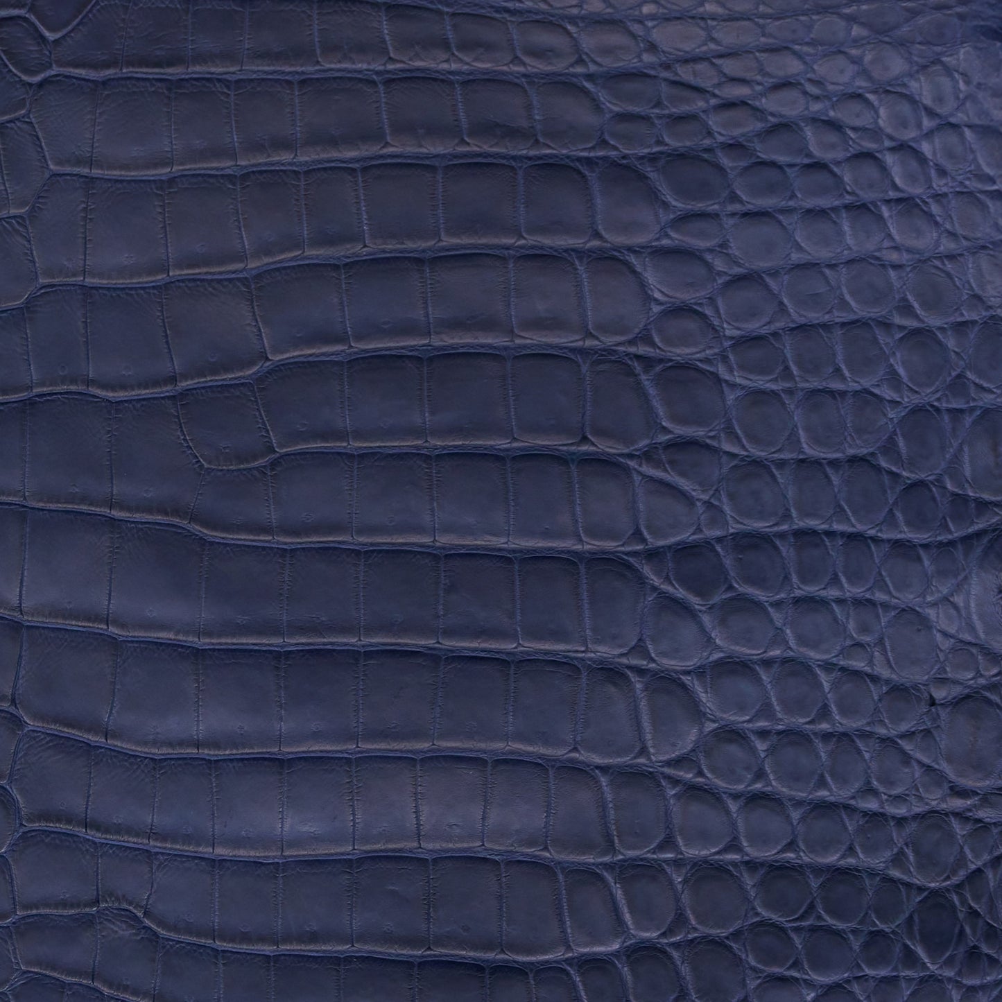 Crocodile Card Holder Admiral blue - MORELET®