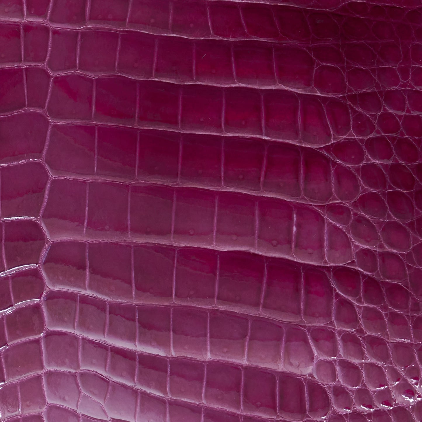 Crocodile Card Holder Kelly Magenta Glazed - MORELET®