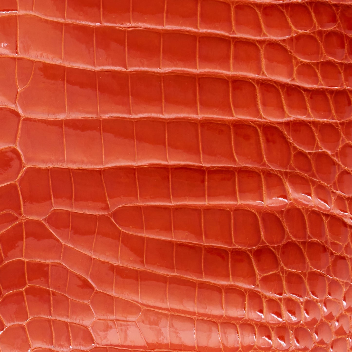 Bifold Crocodile Wallet Mandarine Glazed - MORELET®