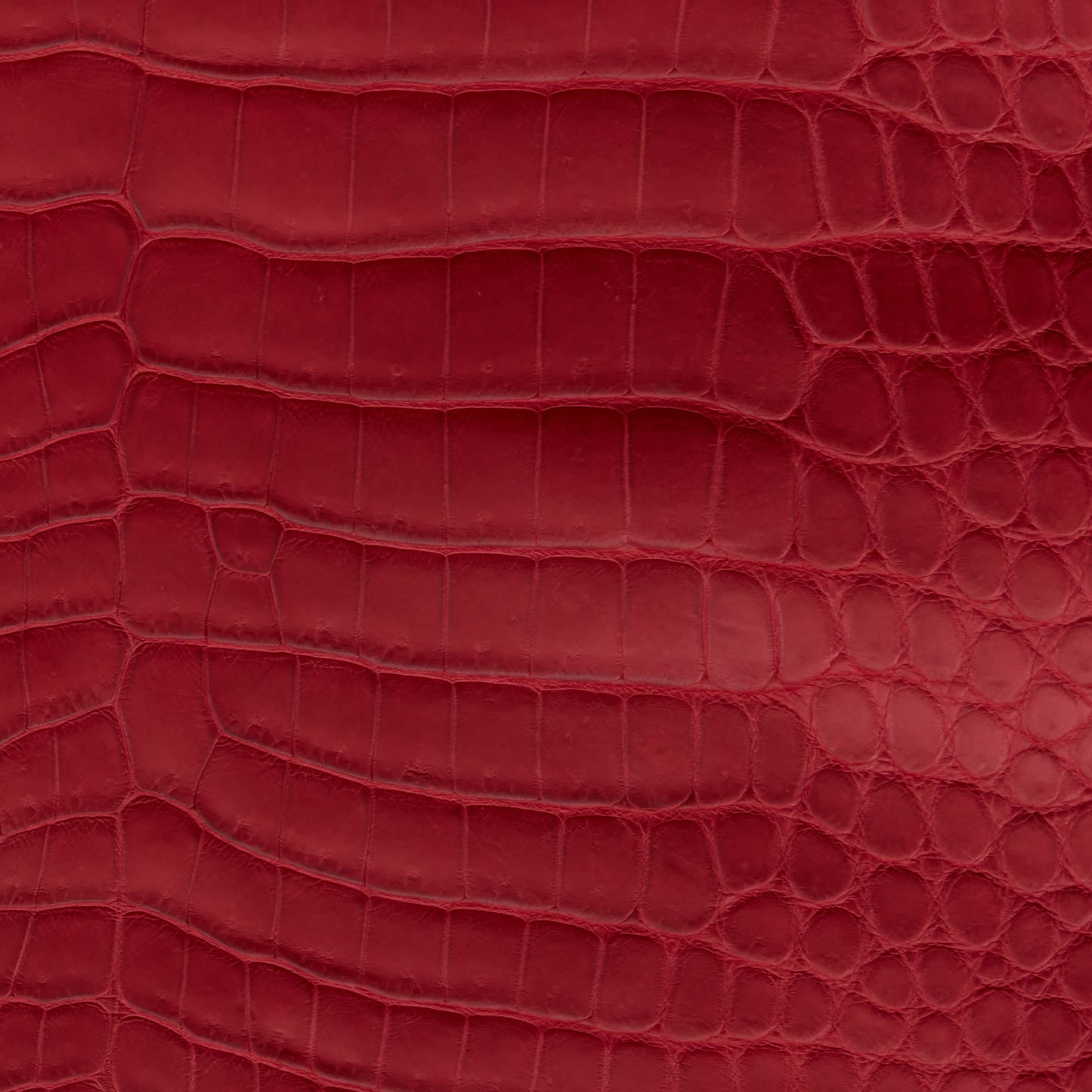 Crocodile Card Holder Apple Red - MORELET®