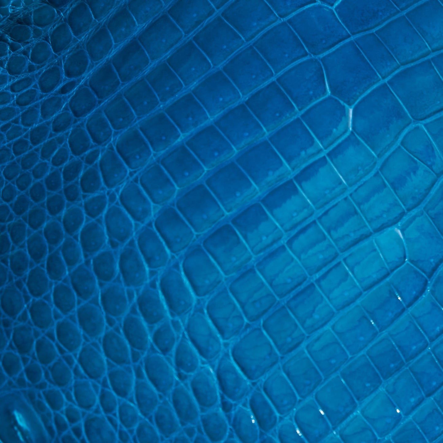 Crocodile Card Holder Tahiti Glazed - MORELET®