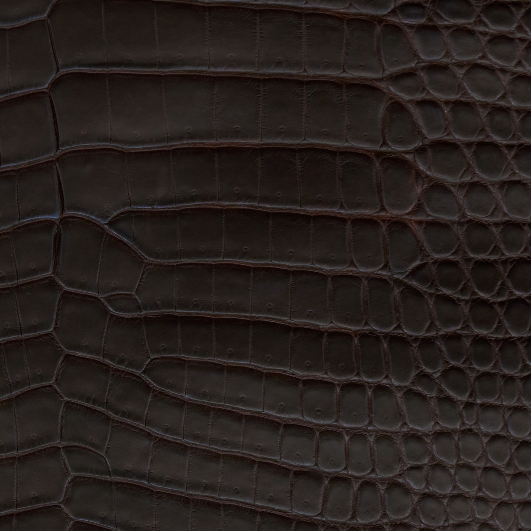 Bifold Crocodile Wallet Chocolate - MORELET®
